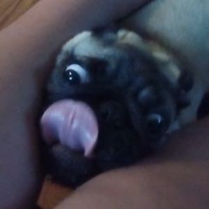 Meet your Posher, Adam